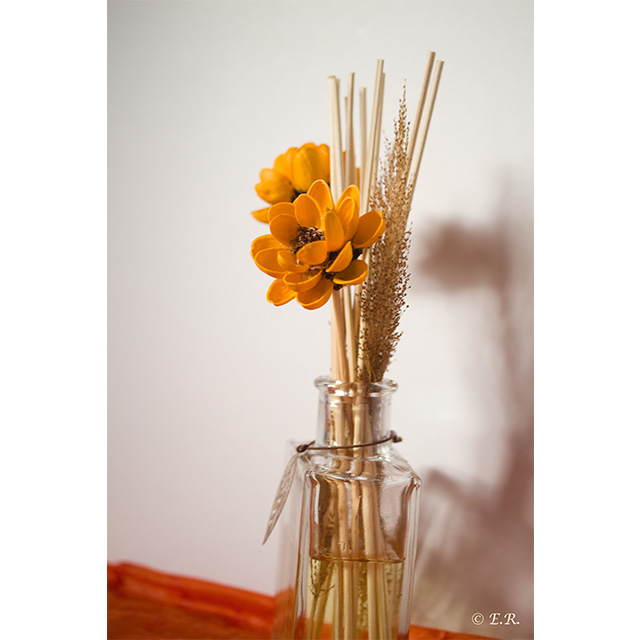 aromatic diffusers shreyas exports